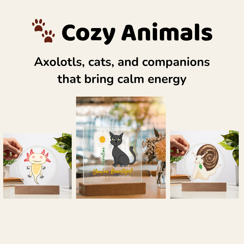 Why Cute Things Actually Make You Feel Better and How to Use Them Daily