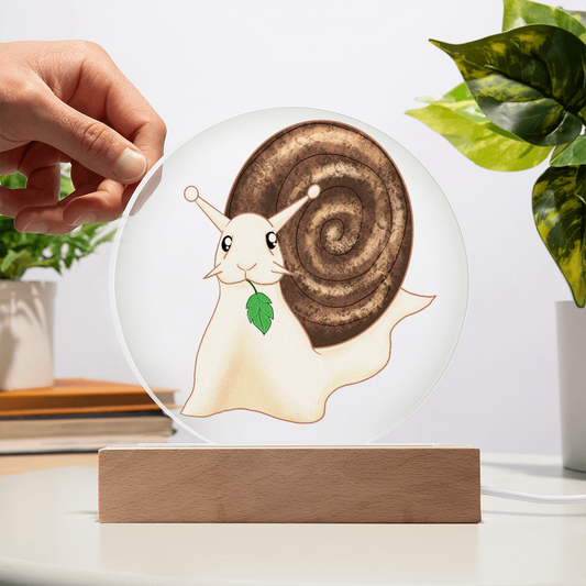 Giant Snail Acrylic LED Light | Kawaii Nature Night Light Gift